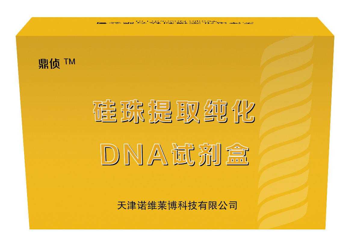 超高效硅珠纯化DNA提取试剂盒